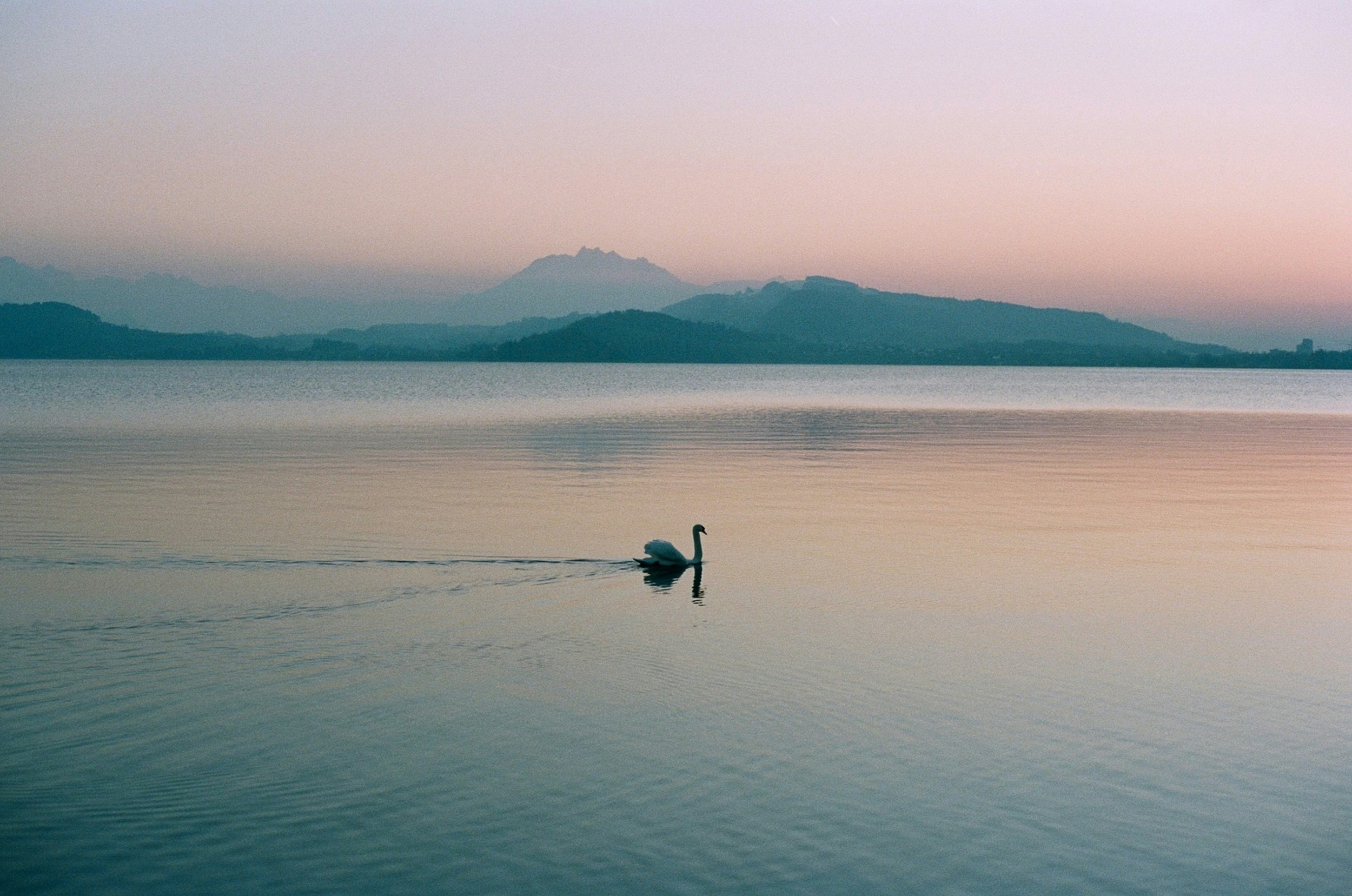 dave-ruck-U1cpCMOy1H0-unsplash